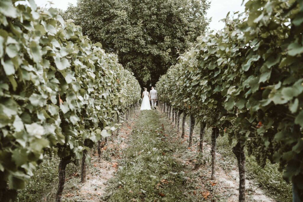 Braut und Bräutigam stehen im Weinberg in Breisach am Rhein und genießen ihr Hochzeitsshooting zwischen grünen Weinreben.